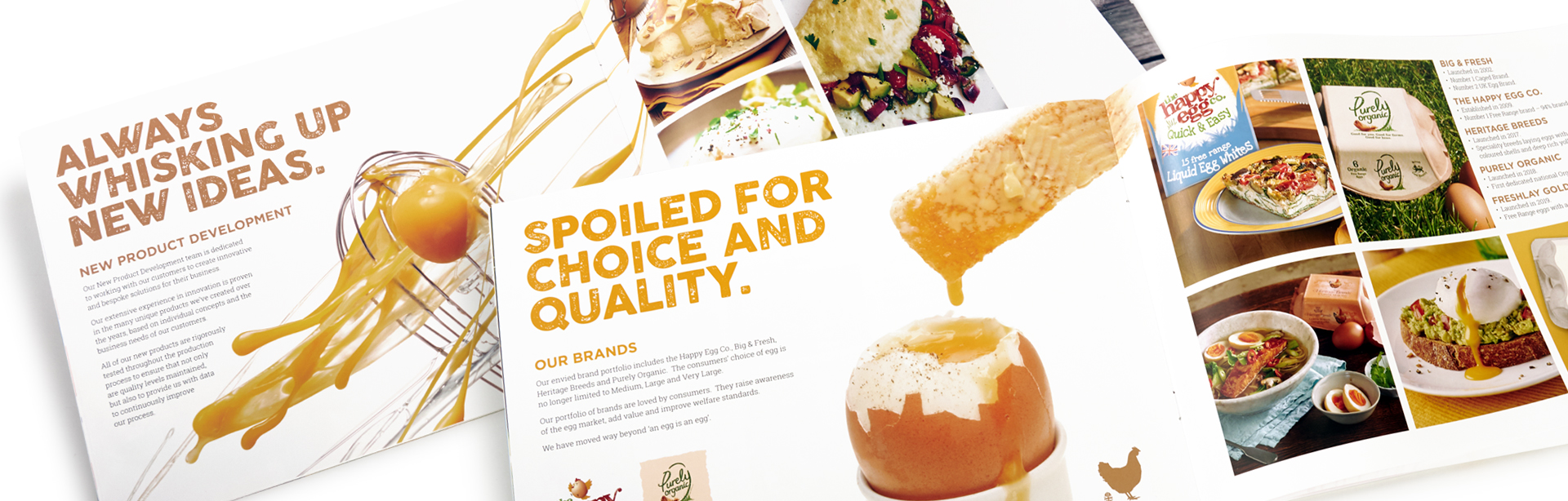Noble Foods The Great British Egg Co. brochure The Finishing Post