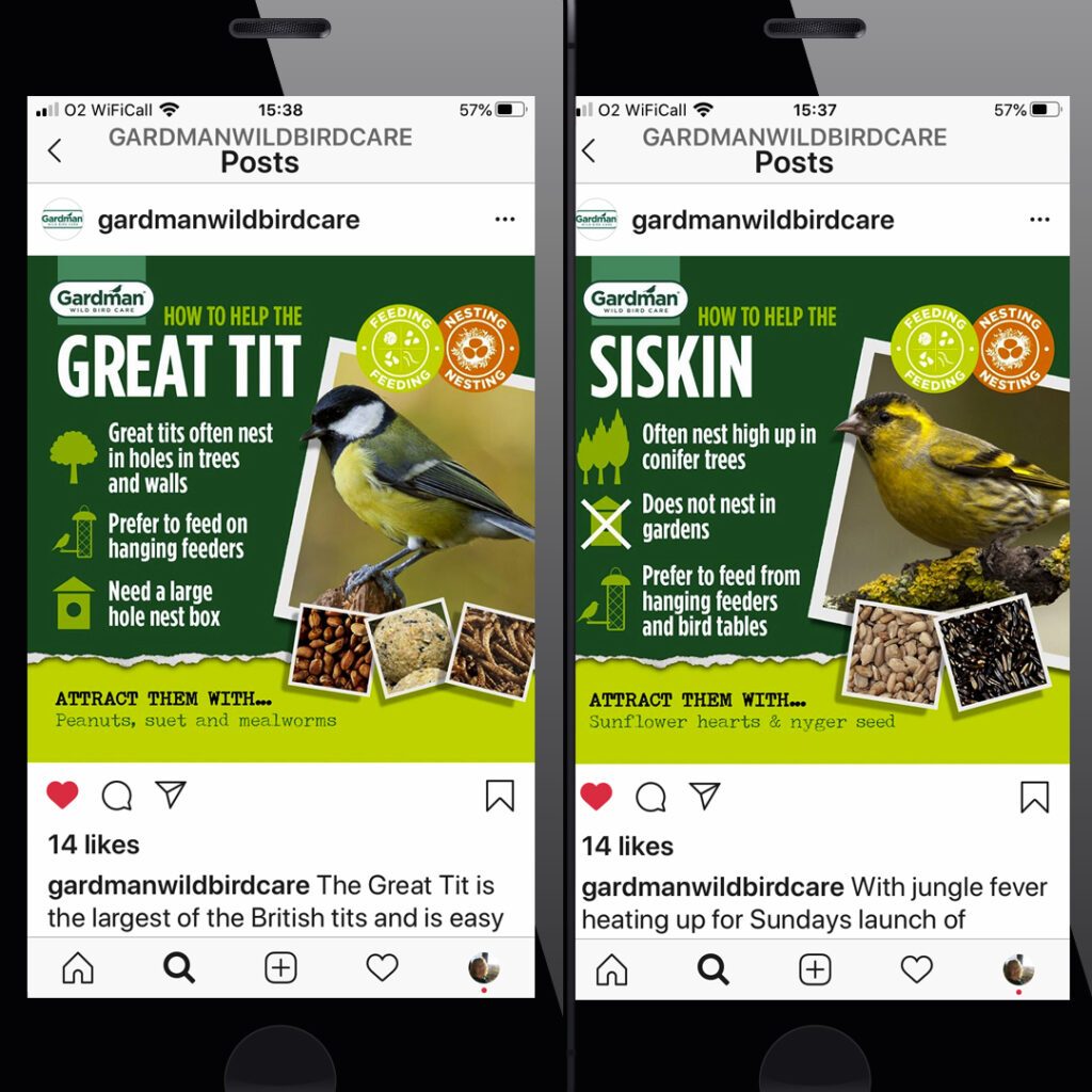 Gardman bird seed social media content