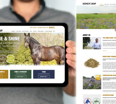 Honeychop website design