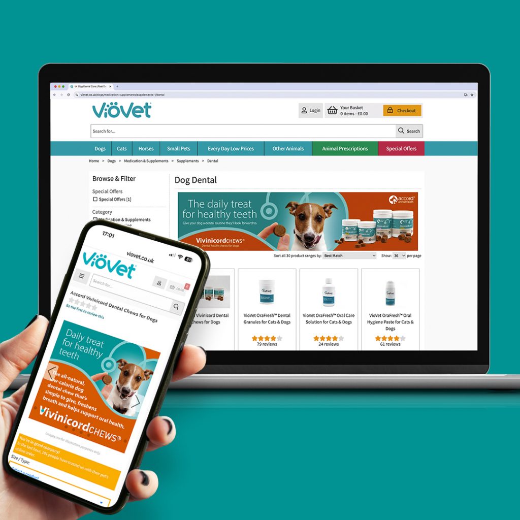 Accord Animal Health Digital Advertising Campaign