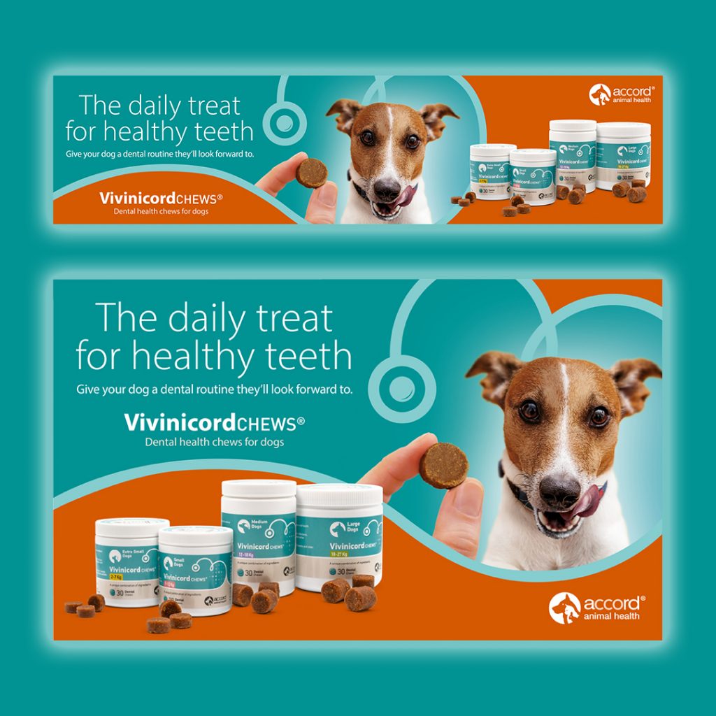 Accord Animal Health Digital Advertising Campaign