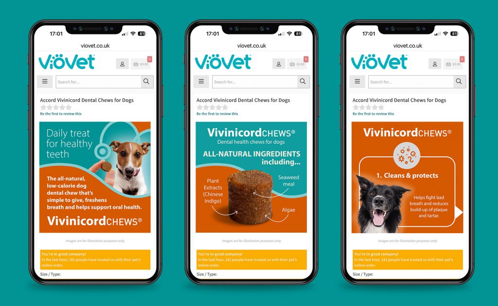 Accord Animal Health Digital Advertising Campaign