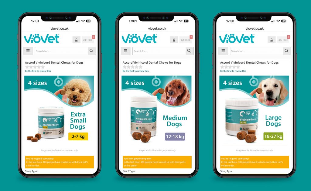 Accord Animal Health Digital Advertising Campaign