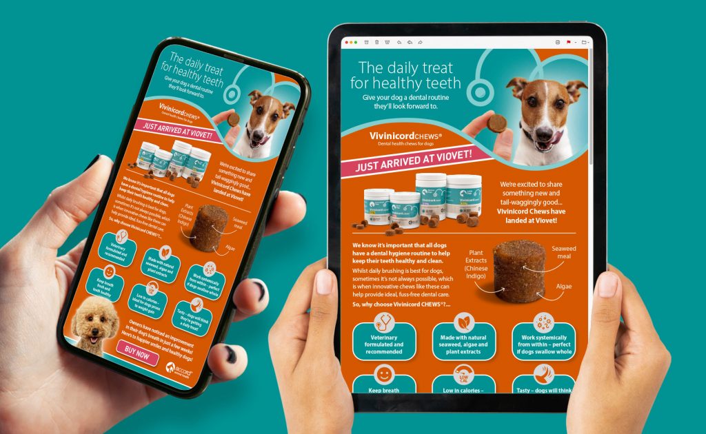 Accord Animal Health Digital Advertising Campaign