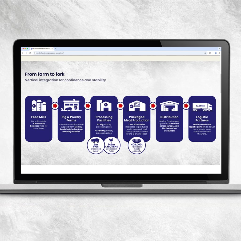 Morliny Foods PowerPoint Presentation & Website Graphics