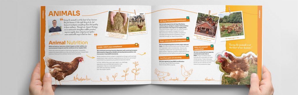 Noble Foods Business Impact Report Design