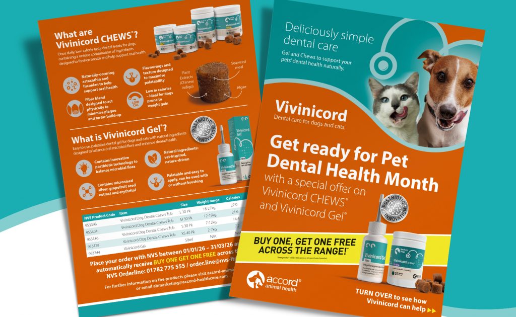 Accord Animal Health Pet Dental Health Month Marketing Campaign