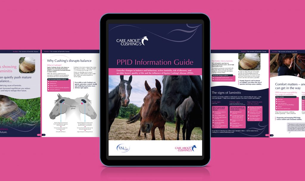 Boehringer Ingelheim Cushing’s Awareness Campaign